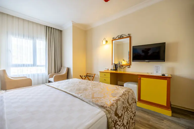 Standart Kara Manzaralı Oda